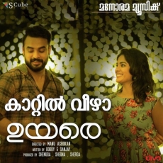 Pathinettu Vayassila