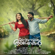 Vidacholi