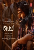 Peddi (2026)