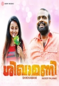 Shikhamani (2016)