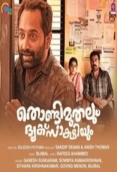 Thondimuthalum Driksakshiyum (2017)