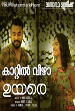 Uyare